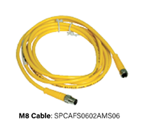 SPCAFS0602AM06.png